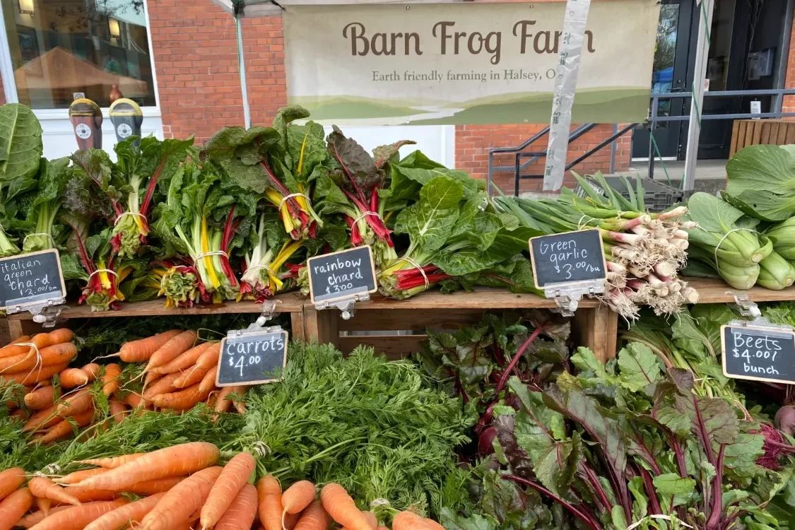 Barn-Frog2-75p-e1682098213913