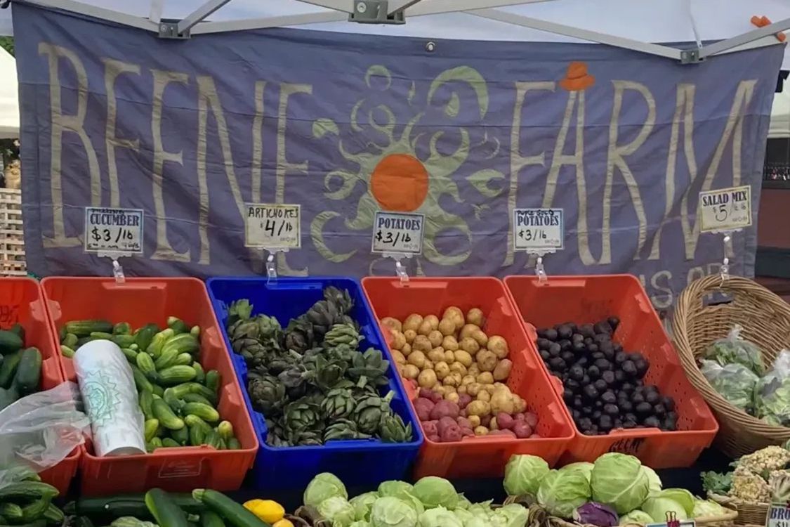 Beene-Farm-MW-1500-75p-e1682100577461