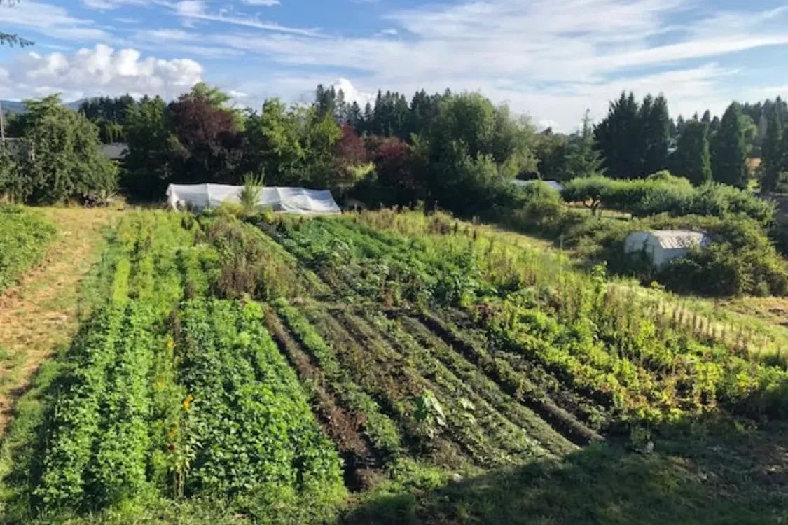 Bina-Farm-MW-1500-75p-e1682100947597